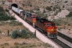 ATSF 106 at Nelson Tunnel